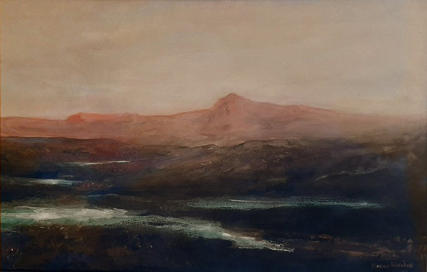 Marinus Wiechers - Shore